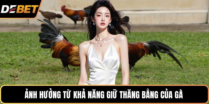 Ảnh hưởng từ khả năng giữ thăng bằng của gà 
